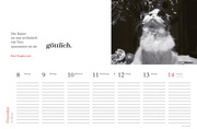 Literarischer Tischkalender Katzen 2025 - Illustrationen 3
