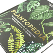 Plantopedia - Abbildung 4