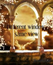 Different window, same view