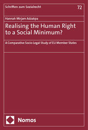 Realising the Human Right to a Social Minimum? - Cover