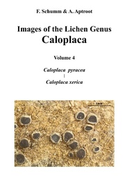Images of the Lichen Genus Caloplaca, Vol4