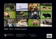 Bären - Pelzige Giganten 2020 - Black Edition - Timokrates Kalender, Wandkalender, Bildkalender - DIN A3 (42 x 30 cm) - Abbildung 1