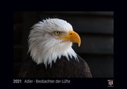 Adler - Beobachter der Lüfte 2021 - Black Edition - Timokrates Kalender, Wandkalender, Bildkalender - DIN A4 (ca. 30 x 21 cm)