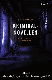 Kriminal-Novellen-Band 3-Der Gefangene der Stadtvogtei II.