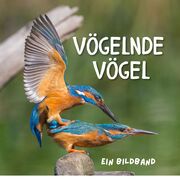 Vögelnde Vögel - Cover