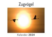 Zugvögel (Wandkalender 2024, Kalender DIN A4 quer, Monatskalender im Querformat mit Kalendarium, Das perfekte Geschenk)