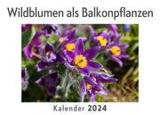 Wildblumen als Balkonpflanzen (Wandkalender 2024, Kalender DIN A4 quer, Monatskalender im Querformat mit Kalendarium, Das perfekte Geschenk)