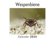 Wespenbiene (Wandkalender 2024, Kalender DIN A4 quer, Monatskalender im Querformat mit Kalendarium, Das perfekte Geschenk)