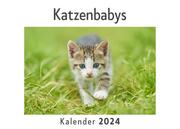 Katzenbabys (Wandkalender 2024, Kalender DIN A4 quer, Monatskalender im Querformat mit Kalendarium, Das perfekte Geschenk)