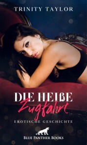 Die heiße Zugfahrt , Erotische Geschichte - Cover