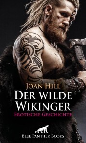 Der wilde Wikinger , Erotische Geschichte - Cover