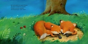 Wie kleine Tiere schlafen gehen - Abbildung 3