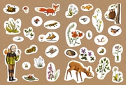 Lesen + Stickern. Entdecke die Tiere im Wald - Abbildung 1