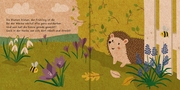 Meine Gartenfreunde - Der kleine Igel - Illustrationen 1