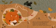 Meine Waldfreunde - Der kleine Fuchs - Illustrationen 2