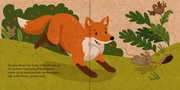 Meine Waldfreunde - Der kleine Fuchs - Illustrationen 5