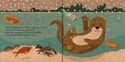 Meine Waldfreunde - Der kleine Otter - Illustrationen 2