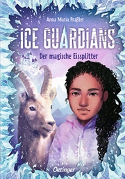 Ice Guardians - Der magische Eissplitter - Cover
