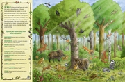 Das große Wald-Wimmelbuch - Abbildung 2