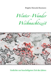 Winter-Wunder-Weihnachtszeit