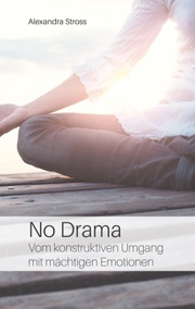 No Drama - Cover