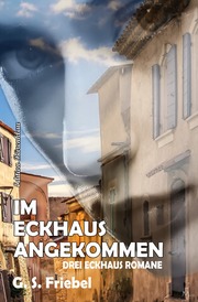 Im Eckhaus angekommen: Drei Eckhaus Romane