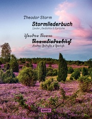 Stormliederbuch - Sütterlin