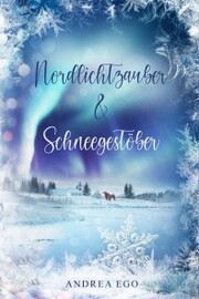 Nordlichtzauber und Schneegestöber - Cover