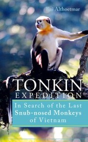 Tonkin Expedition