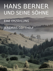 Hans Berner und seine Söhne - Cover