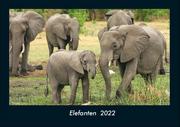 Elefanten 2022 Fotokalender DIN A4