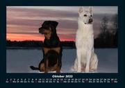 Hunde Kalender 2022 Fotokalender DIN A4 - Abbildung 2