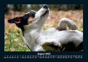 Hunde Kalender 2022 Fotokalender DIN A4 - Abbildung 12