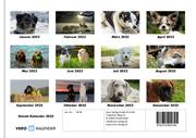 Hunde Kalender 2022 Fotokalender DIN A4 - Abbildung 13