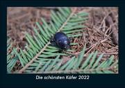 Die schönsten Käfer 2022 Fotokalender DIN A5