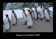 Pinguine und Eisbären 2022 Fotokalender DIN A3