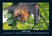Tierkalender 2022 Fotokalender DIN A4 - Abbildung 2