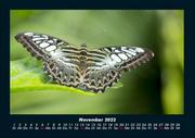 Tierkalender 2022 Fotokalender DIN A4 - Abbildung 3