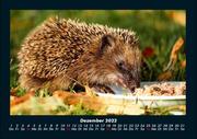 Tierkalender 2022 Fotokalender DIN A4 - Abbildung 4