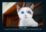 Tierkalender 2022 Fotokalender DIN A4 - Abbildung 6
