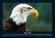 Tierkalender 2022 Fotokalender DIN A4 - Abbildung 7