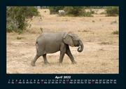 Tierkalender 2022 Fotokalender DIN A4 - Abbildung 8