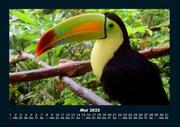 Tierkalender 2022 Fotokalender DIN A4 - Abbildung 9