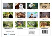 Tierkalender 2022 Fotokalender DIN A4 - Abbildung 13