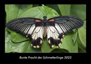 Bunte Pracht der Schmetterlinge 2022 Fotokalender DIN A3