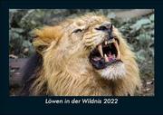 Löwen in der Wildnis 2022 Fotokalender DIN A5