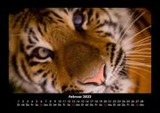 Tiger 2022 Fotokalender DIN A3 - Abbildung 6