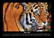 Tiger 2022 Fotokalender DIN A3 - Abbildung 7