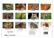 Tiger 2022 Fotokalender DIN A3 - Abbildung 13