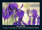 Blumenkalender 2022 Fotokalender DIN A5 - Abbildung 3